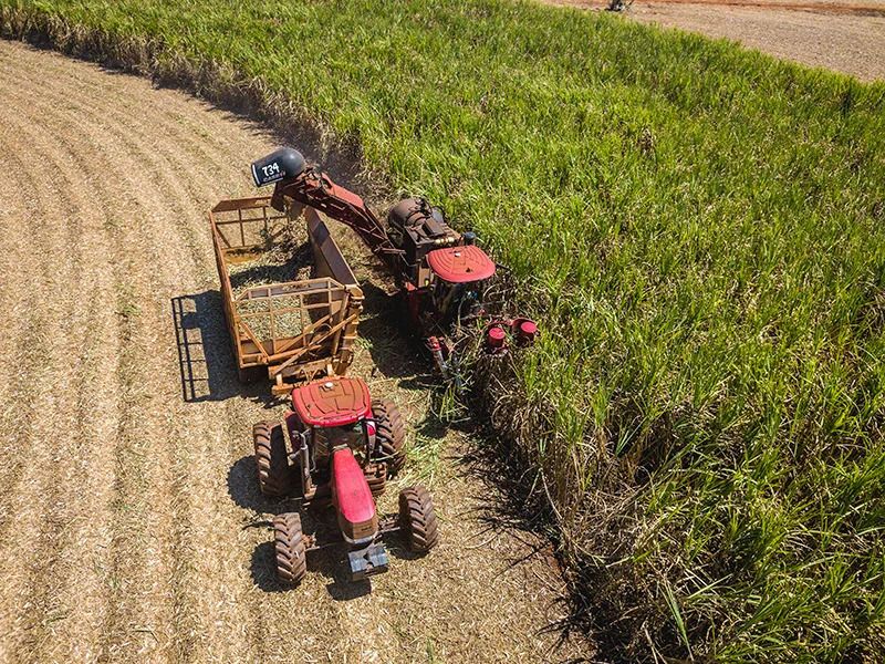 Viralcool tem vagas de emprego em Castilho (SP) - Foto: Divulgação
