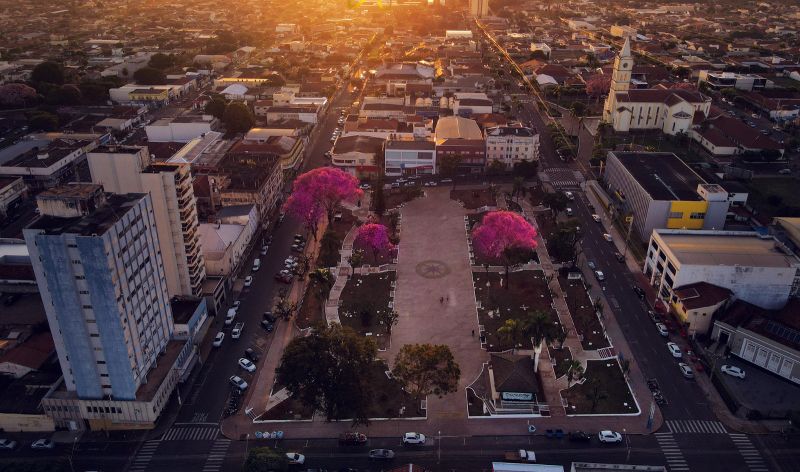  Food Truck Fest de Andradina Transforma a Praça Moura Andrade em um Paraíso Gastronômico e Musical - Divulgação