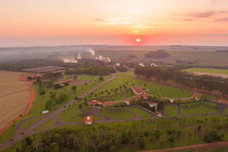 Usina Santa Adélia oferece novas oportunidades de emprego em Pereira Barreto e Jaboticabal - Divulgação