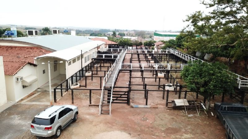 Sindicato Rural de Guaraçaí promove leilão de gado: Fortalecendo a pecuária local - Divulgação