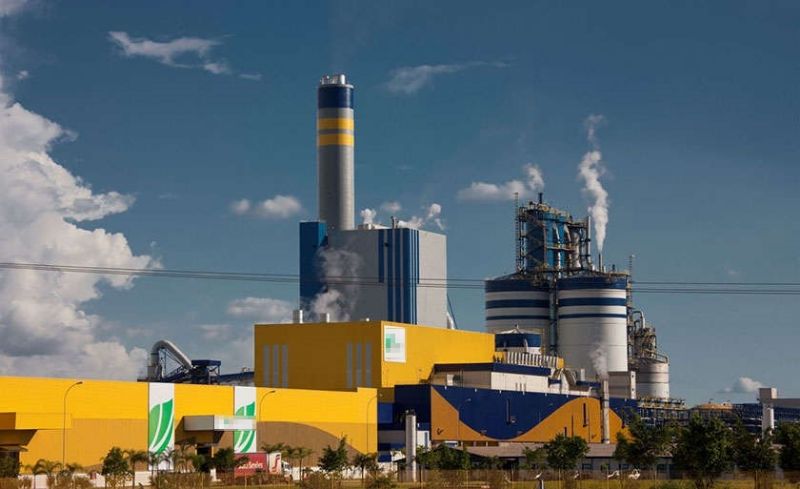 Oportunidades de Emprego na Suzano em Três Lagoas (MS) - Confira as Vagas Disponíveis! - Divulgação