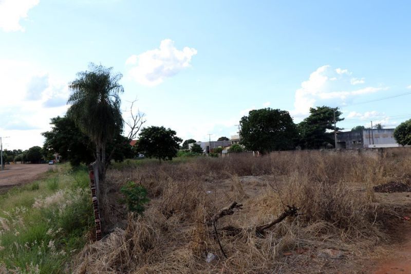 Mais de 500 terrenos foram multados em 2025 devido a mato alto e sujeira em Três Lagoas (MS) - Divulgação/Prefeitura