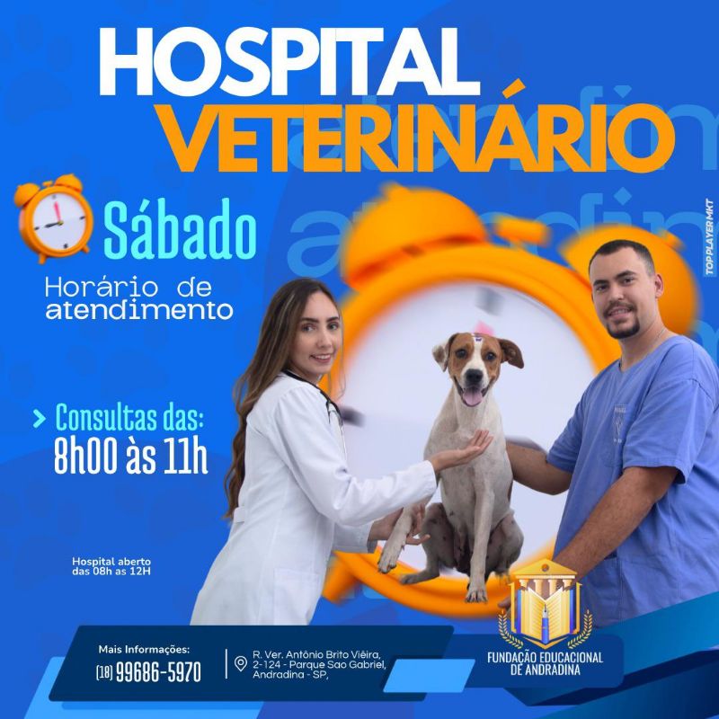 Hospital Veterinário da FEA amplia atendimento para os sábados em Andradina - Divulgação/Prefeitura
