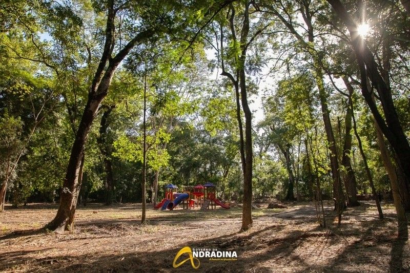 Governador Tarcísio assina convênio de mais de R$ 1 milhão para revitalização do Bosque Municipal de Andradina - Bosque em Andradina - Foto: Divulgação/Prefeitura Governador Tarcísio assina convênio de mais de R$ 1 milhão para revitalização do Bosque Municipal de Andradina - Bosque em Andradina - Foto: Divulgação/Prefeitura