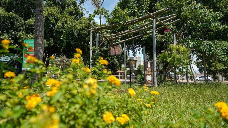 Secretaria de Meio Ambiente estimula adoção de áreas verdes em Araçatuba - Espaços Verdes em Araçatuba (SP) - Foto: Divulgação/Prefeitura