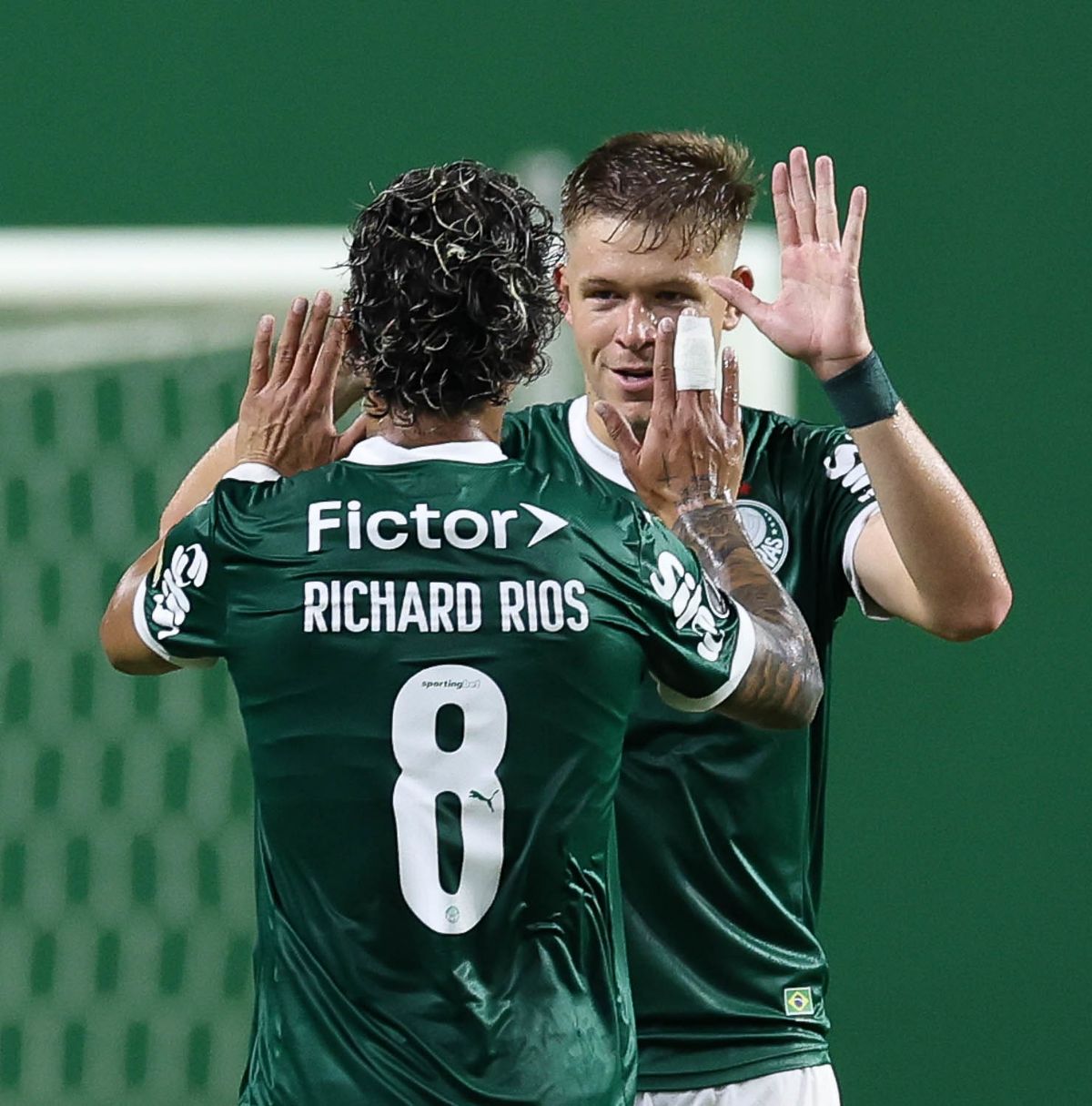 Onde Assistir: Bolívar e Palmeiras duelam pela liderança do Grupo G da Libertadores - Palmeiras na altitude de La Paz