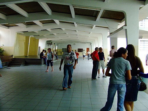 Eleições 2008: eleitores no Álvaro Guião - Eleições 2008: eleitores no Álvaro Guião -