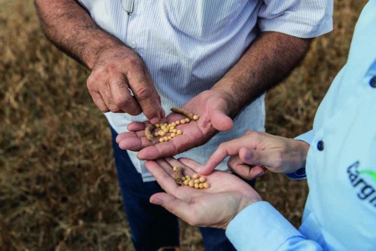 Cargill Mantém Reinado como Maior Empresa Privada dos EUA - Divulgação/Cargill