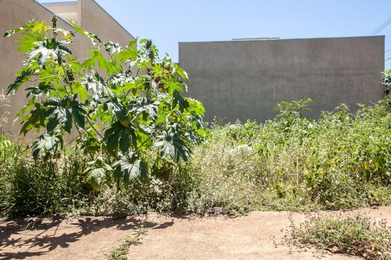 Andradina notifica 90 terrenos por mato alto no Alto dos Ipês - Foto: Divulgação