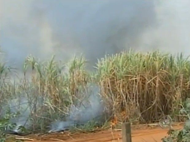Queima da palha da cana passa a ser proibida na região noroeste paulista - Queima da palha será suspensa caso umidade relativa do ar seja inferior a 20% (Foto: Reprodução TV TEM)