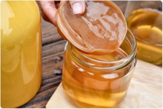 Aprenda a fazer Kombucha, o chá queridinho do mundo fitness - 