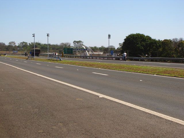 Capivaras, gado e cães provocaram 134 acidentes nas rodovias da região - Animais soltos na pista são problemas nas rodovias da região. Foto: Arquivo/Andravirtual