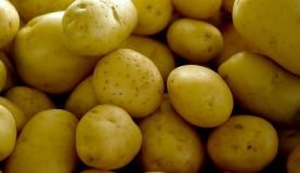 Preço das hortaliças aumenta em outubro; frutas ficam mais baratas - A batata teve aumento de mais de 90% nos estados de Goiás e do ParanáArquivo/Agência Brasil