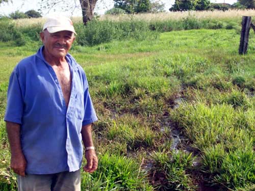 Sitiante denuncia prefeitura por contaminação de córrego - Sitiante denuncia prefeitura por contaminação de córrego -